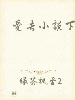 爱去小说下载网