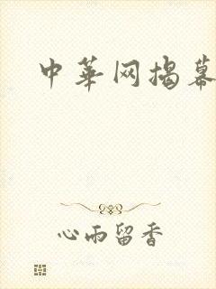 中华网揭幕内参