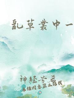 乱草丛中一杆枪