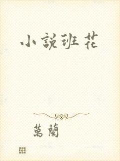小说班花