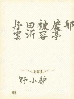 丹田被废那些年云沂容亭