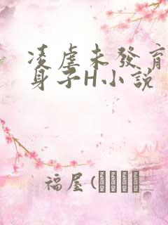 凌虐未发育的小身子H小说