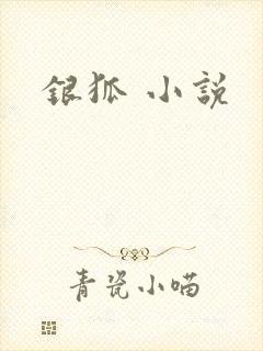 银狐 小说