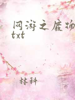 网游之废物传说txt