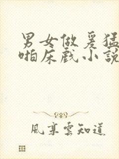 男女做爰猛烈啪啪床戏小说