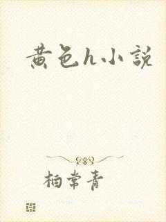 黄色h小说