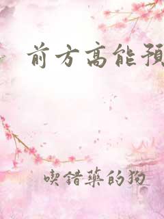 前方高能预警