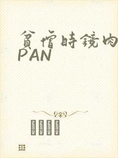 贫僧时镜肉补全PAN