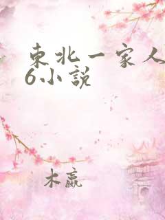 东北一家人1一6小说