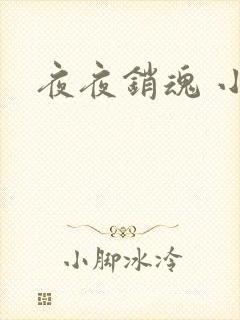 夜夜销魂 小说