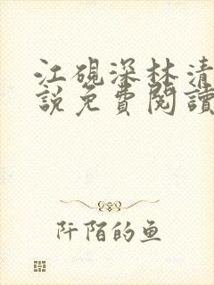 江砚深林清浅小说免费阅读