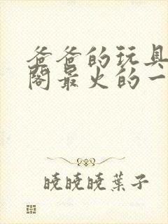 爸爸的玩具笔趣阁最火的一句