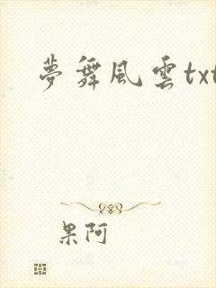 梦舞风云txt