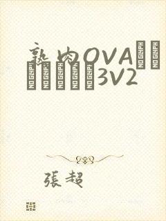 熟肉OVAちゃんはしたい3V2