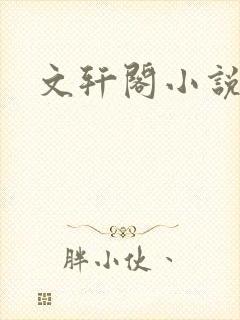 文轩阁小说网
