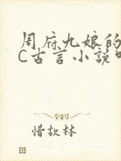 周府九娘的NPC古言小说叫什么