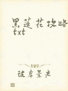 黑莲花攻略手册 txt