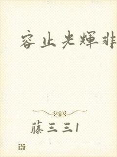 容止光辉非世人