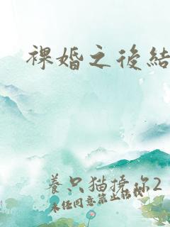 裸婚之后结局