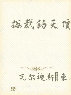 总裁的天价宝贝