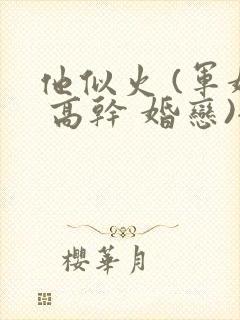 他似火 (军婚 高干 婚恋)全文在线阅读