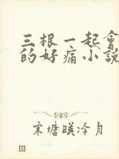 三根一起会坏掉的好痛小说