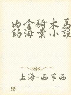 内含骑木马情节的海棠小说男主