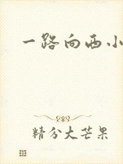 一路向西小说
