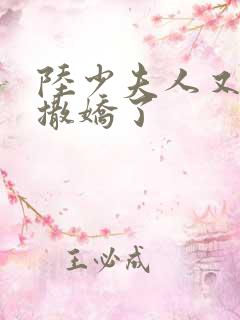 陆少夫人又双叒撒娇了