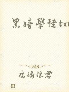 黑暗学徒txt