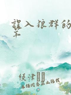 误入狼群的小绵羊