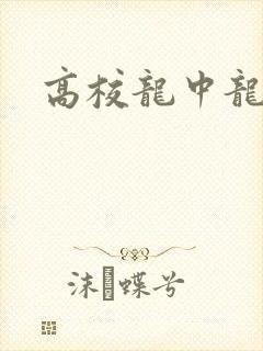 高校龙中龙下载