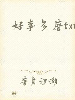好事多磨txt
