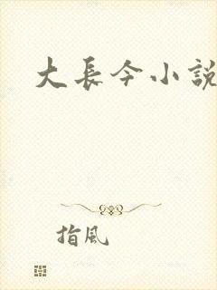 大长今小说下载