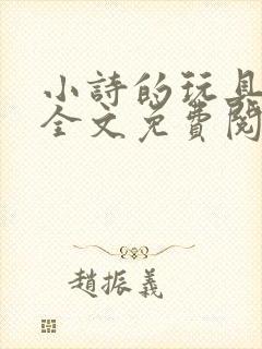 小诗的玩具日记全文免费阅读