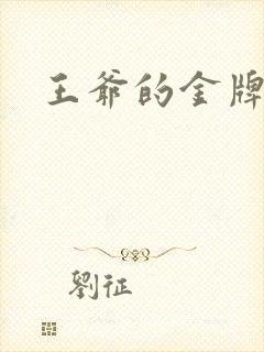 王爷的金牌暗卫