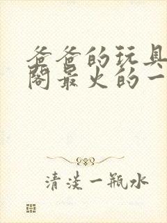 爸爸的玩具笔趣阁最火的一句