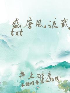 盛唐风流武状元txt