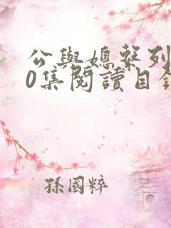 公与媳系列100集阅读目录小说