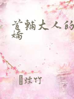 首辅大人的掌心娇