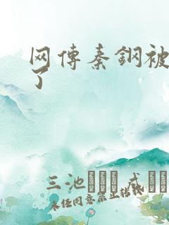 网传秦钢被打死了