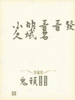 小明看看发布永久域名