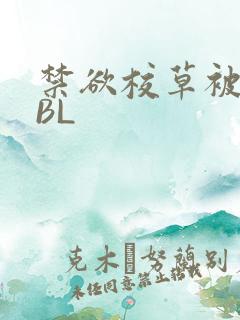 禁欲校草被C哭BL