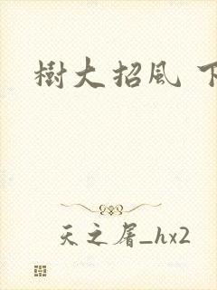 树大招风 下载