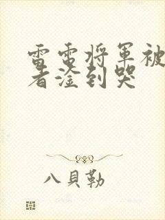 雷电将军被旅行者淦到哭