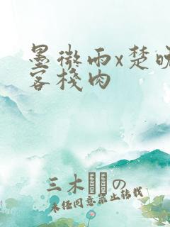 墨微雨x楚晚宁客栈肉