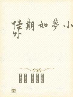 佳期如梦小说番外