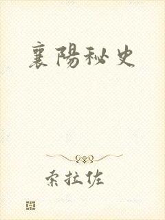 襄阳秘史