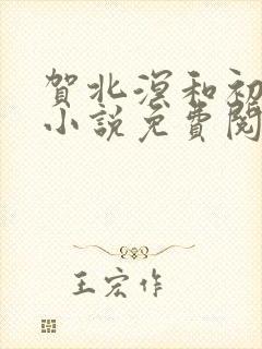 贺北溟和初夏的小说免费阅读无弹窗