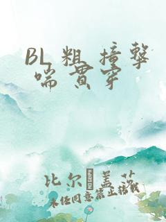 BL 粗 撞击 喘 贯穿